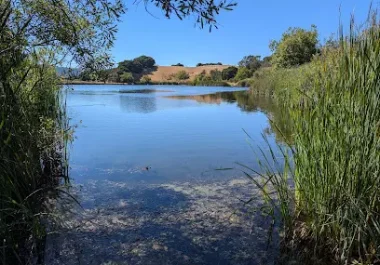 Foothills Nature Preserve pond with blue water, reeds, and tree-lined banks in East Bay