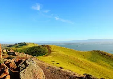 Rolling green hills and bay views in Fremont, CA service area
