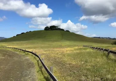 Rolling green hillside with tree-covered summit and rural fencing in Redwood City area