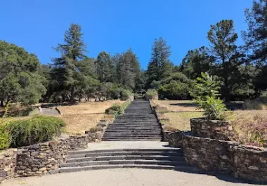 Stone pathway through park with trees and clear blue sky in Oakland, CA