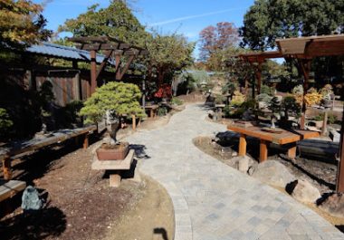 Outdoor patio area with wooden tables, benches, and mature trees in Oakland