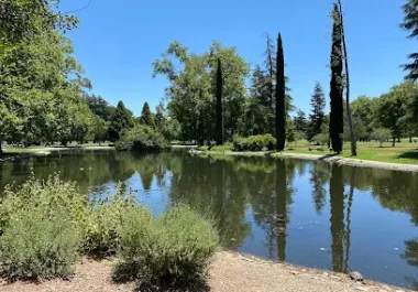 Serene pond and landscaped park in Sacramento with cypress trees and green vegetation