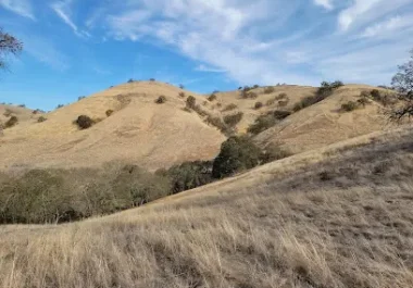Old Borges Ranch