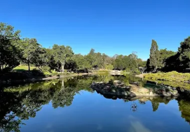 Sharon Park