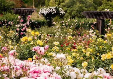 The Gardens at Heather Farm