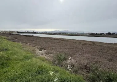 wetland